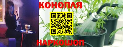 PSILOCYBIN Краснодар