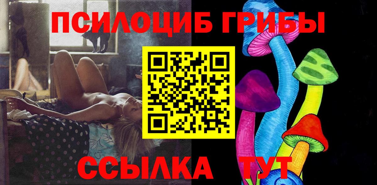 Галлюциногенные грибы MAGIC MUSHROOMS  Вход с VPN  Шатура 